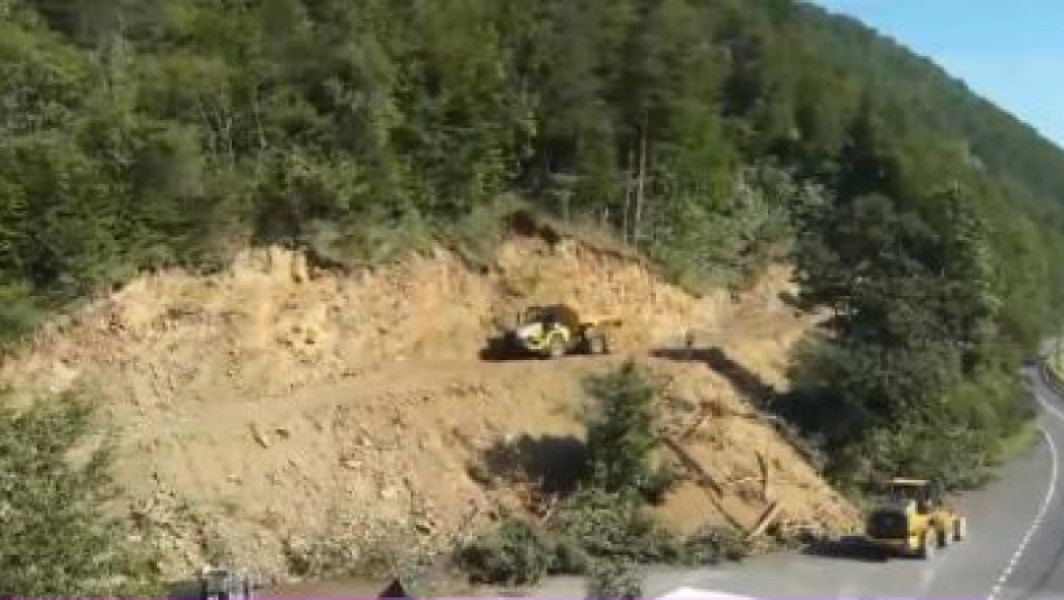 Valea Oltului închisă pentru lucrări de defrișare: Motivul pentru care s-a ales perioada verii
