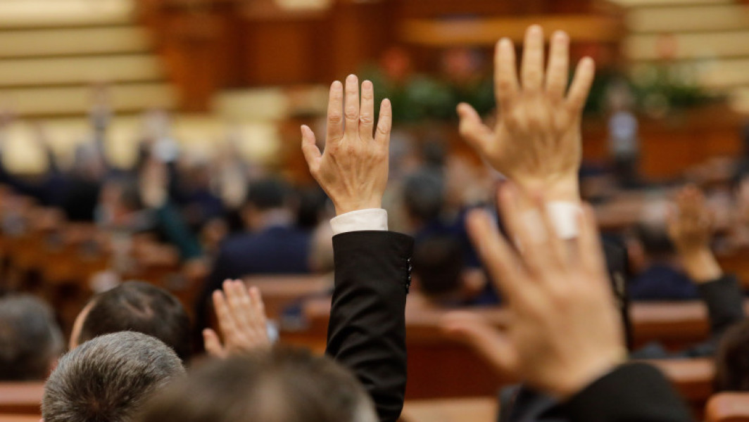 Camera Deputaților, întrunită în sesiune extraordinară pentru modificarea legislației privind intervențiile imediate în atacurile urșilor