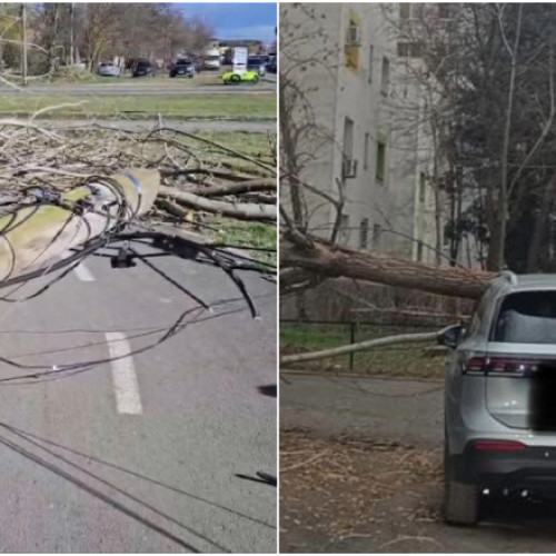 Vreme extremă în România: coduri roșii și tragice accidente