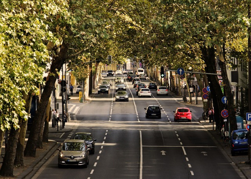 Consiliul Concurenței investighează importatorii auto din România