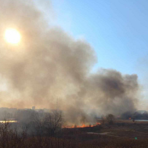 Incendiu devastator în Delta Văcărești: Video și Foto înspăimântător!