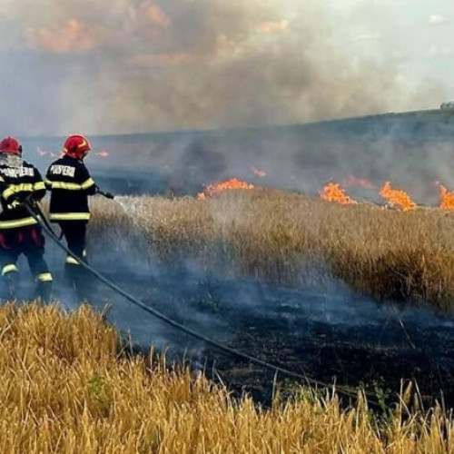 Foto Incendiile au făcut prăpăd în Argeș: sute de pomi fructiferi, 4 autovehicule și mai multe anexe gospodărești au ars
