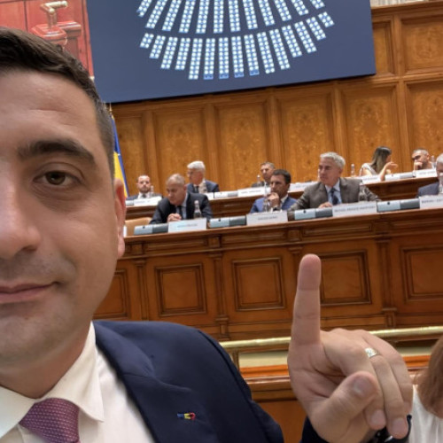 Controversă după un incident cu lebede în județul Ilfov