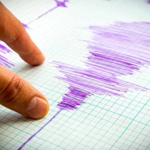 Cutremur în zona seismică Vrancea