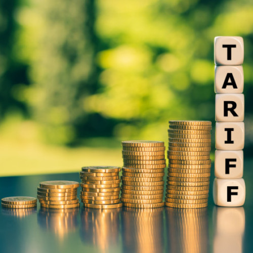 Germania se confruntă cu provocări economice majore din cauza inflatiei și a creșterii șomajului