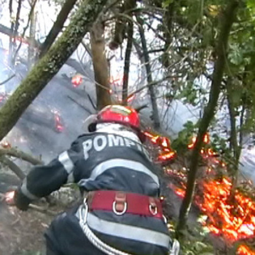 Incendiu de vegetație în județul Hunedoara, aproape de mănăstire