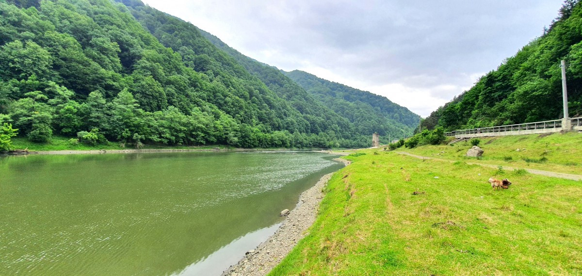 Proiectele hidroenergetice de pe Olt reluate după decenii de amânări
