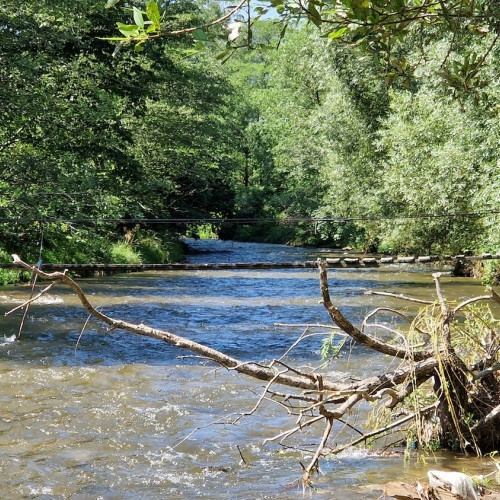 Probleme de Canalizare în Rau Sadului: Apa Canal SA Avertizează asupra Contaminării